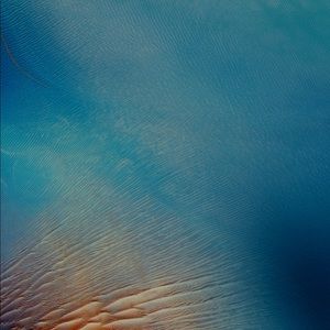 Meet your Posher, Bryce